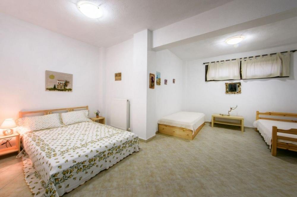 Katevi Luxury Seafront Villa Ierissós Zewnętrze zdjęcie